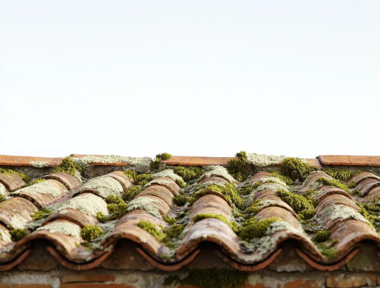 Toiture en tuiles avec mousse et lichens avant nettoyage